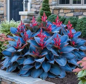 Хоста Грин Фог купить по цене от 669р. в интернет-магазине «Посадика» с доставкой почтой в в Голицыное и по всей России – [изображение №1].