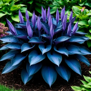 Хоста Сикрет Гров купить по цене от 570р. в интернет-магазине «Посадика» с доставкой почтой в в Голицыное и по всей России – [изображение №1].